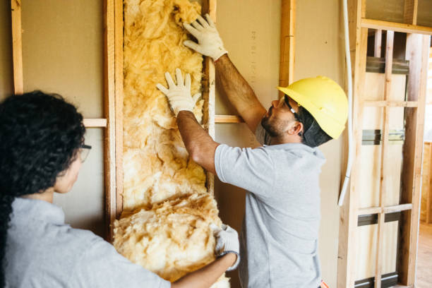 Leland, NC Insulation Installation & Removal Company